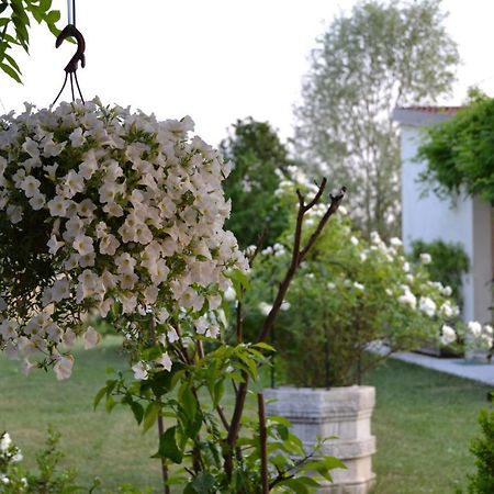 Two Elegant Depandance Vila Conscio Exterior foto