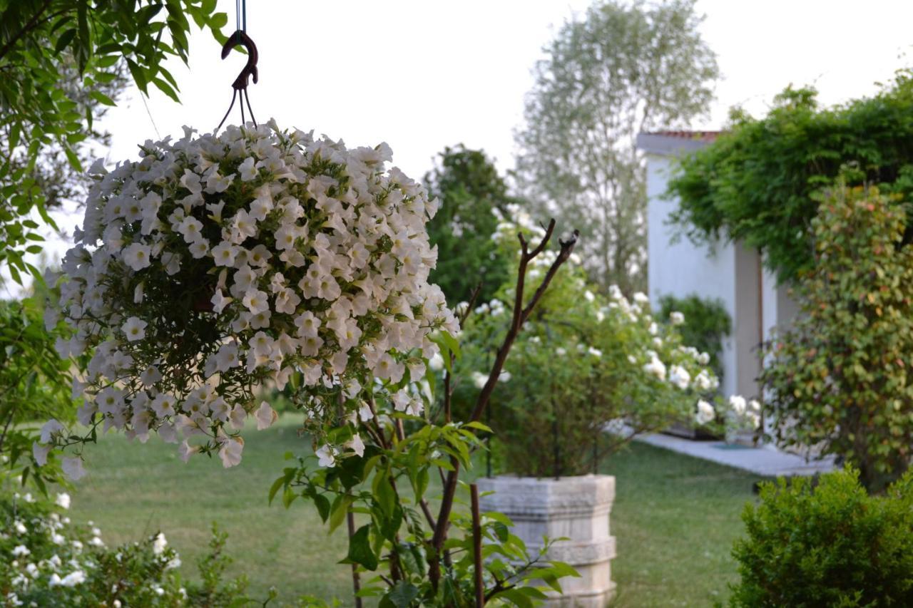 Two Elegant Depandance Vila Conscio Exterior foto